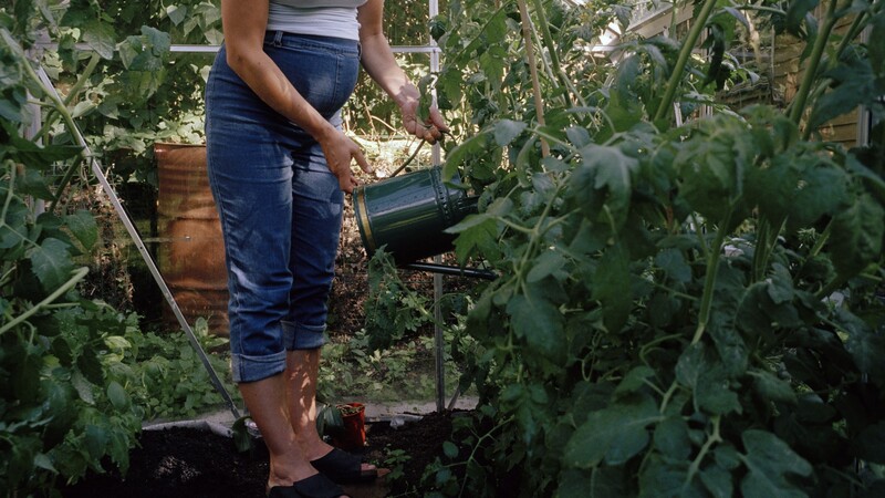Kvinna vattnar växter. 