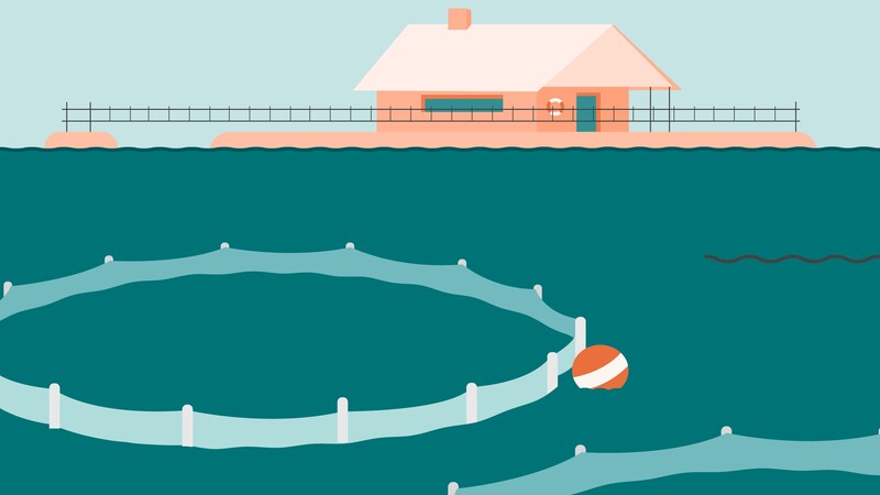 illustration-aquaculture